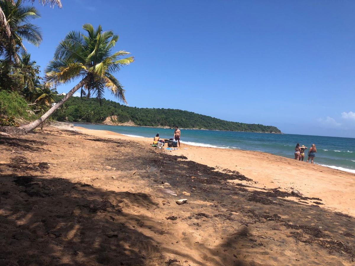 Gavidias Guest House San Lorenzo المظهر الخارجي الصورة