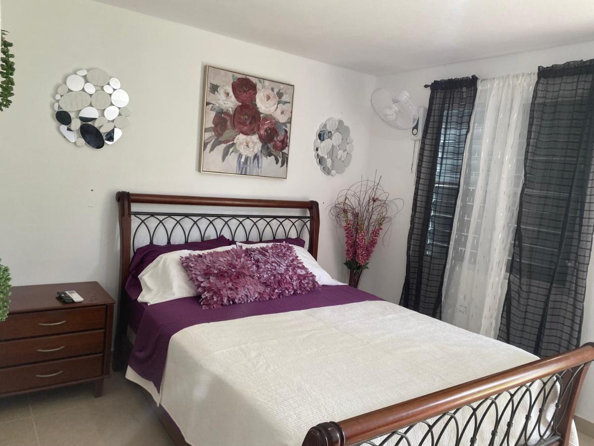 Gavidias Guest House San Lorenzo المظهر الخارجي الصورة