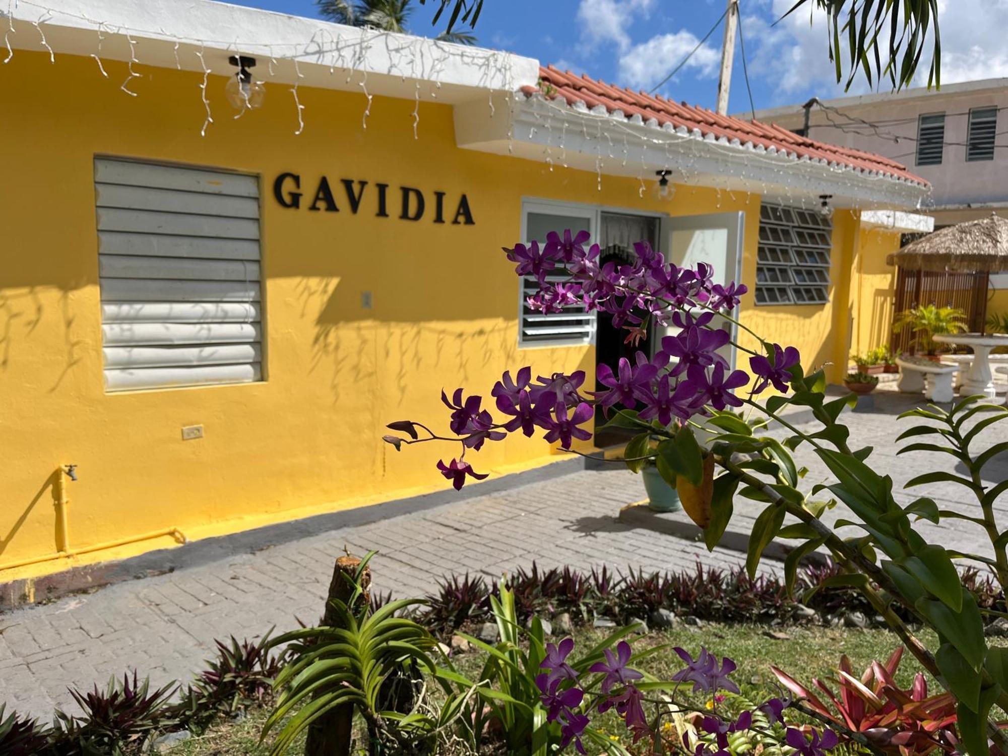 Gavidias Guest House San Lorenzo المظهر الخارجي الصورة